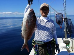 鯛多ニック 釣果