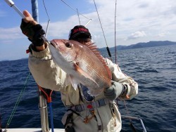 鯛多ニック 釣果