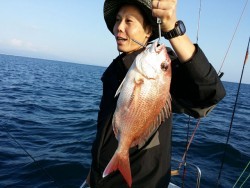 鯛多ニック 釣果