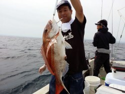 鯛多ニック 釣果