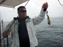 Fishing guide かわい 釣果