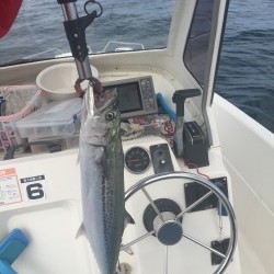 小浜キャスティングゲーム