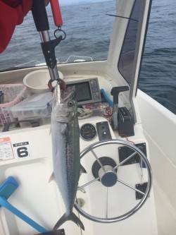 小浜キャスティングゲーム