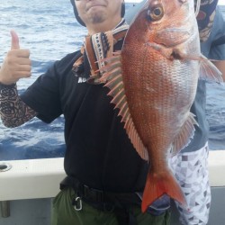 お食い初め用真鯛狙い！