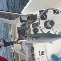 小浜キャスティングゲーム