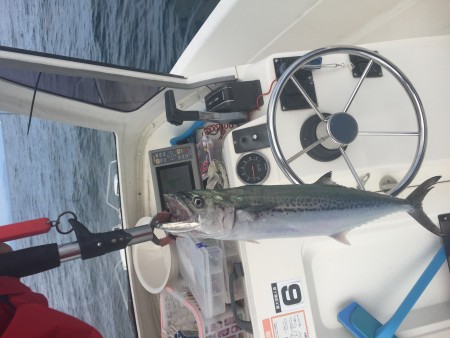 小浜キャスティングゲーム