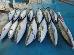 アジアマリンサービス 釣果