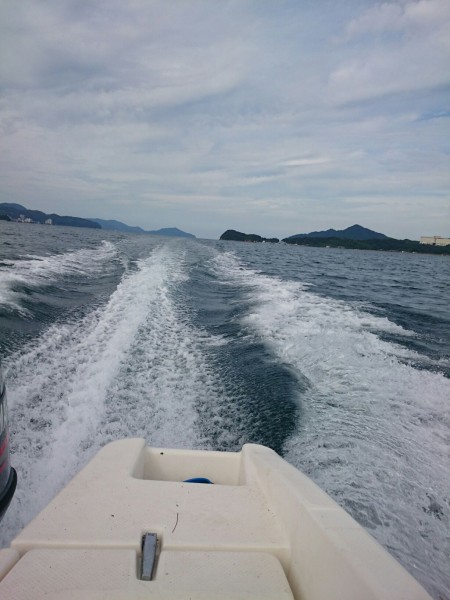 アオリイカえぎんぐ