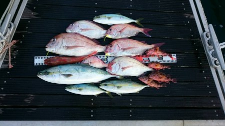 ２回目のタイラバ