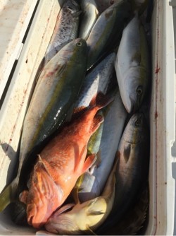 「LaGooN」蒼陽丸 日和号　 釣果
