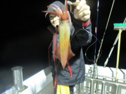 ジギング船 BLUEWATER 釣果