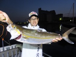 Hit Rush(ヒット ラッシュ） 釣果…