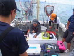 Hit Rush(ヒット ラッシュ） 釣果