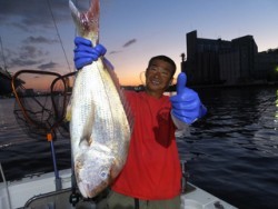 Hit Rush(ヒット ラッシュ） 釣果