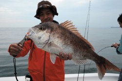 Marine T Design　マリンティーデザイン 釣果