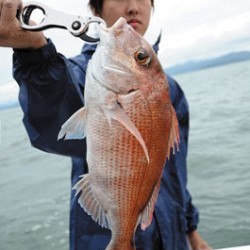 Marine T Design　マリンティーデザイン 釣果