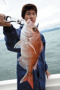 Marine T Design　マリンティーデザイン 釣果