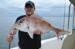 Marine T Design マリンティーデザイン 釣果