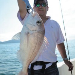 Marine T Design　マリンティーデザイン 釣果