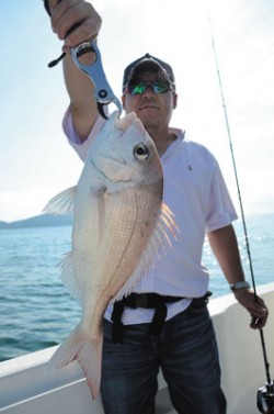 Marine T Design　マリンティ…