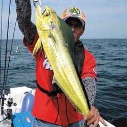 Marine T Design　マリンティーデザイン 釣果