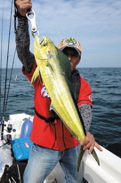 Marine T Design　マリンティ…