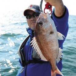 Marine T Design　マリンティーデザイン 釣果