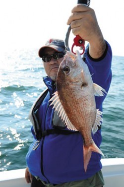 Marine T Design　マリンティーデザイン 釣果