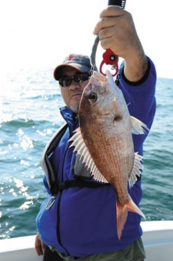 Marine T Design　マリンティ…