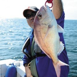 Marine T Design　マリンティーデザイン 釣果