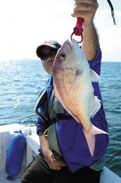 Marine T Design　マリンティーデザイン 釣果