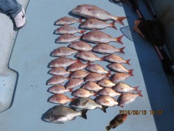 長崎大村湾　第一あさかぜ 釣果