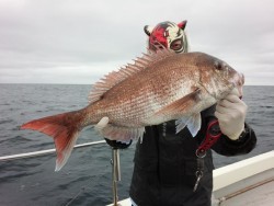 MATSUSHIMA SEANET 釣果