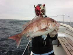 MATSUSHIMA SEANET 釣果