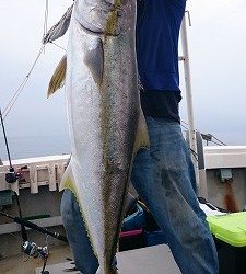海龍丸 釣果