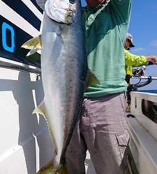 海龍丸 釣果