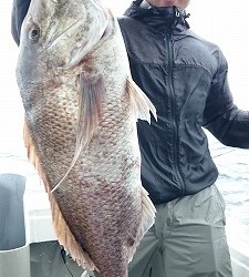 海龍丸 釣果