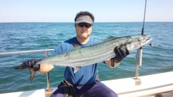 MATSUSHIMA SEANET 釣果