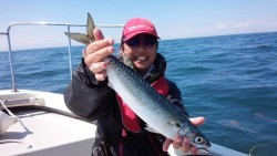 MATSUSHIMA SEANET 釣果