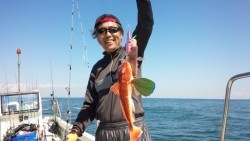 MATSUSHIMA SEANET 釣果