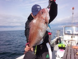 MATSUSHIMA SEANET 釣果