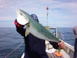 MATSUSHIMA SEANET 釣果