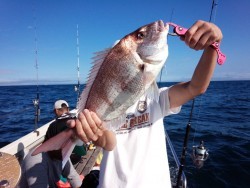 MATSUSHIMA SEANET 釣果