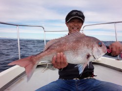 MATSUSHIMA SEANET 釣果