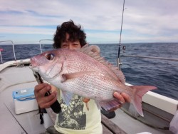 MATSUSHIMA SEANET 釣果