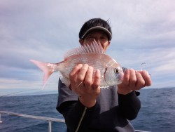 MATSUSHIMA SEANET 釣果