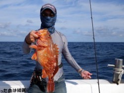 芳美丸 釣果