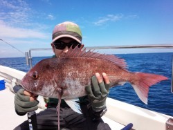 MATSUSHIMA SEANET 釣果