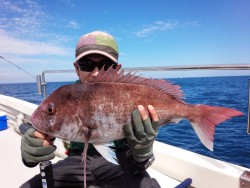 MATSUSHIMA SEANET 釣果