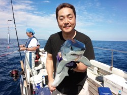 MATSUSHIMA SEANET 釣果